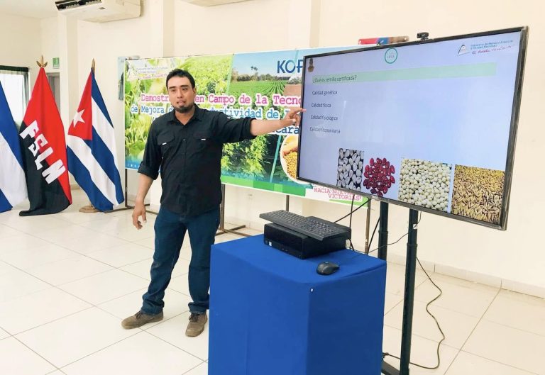 Curso sobre producción de semillas de granos básicos en el departamento de Chinandega