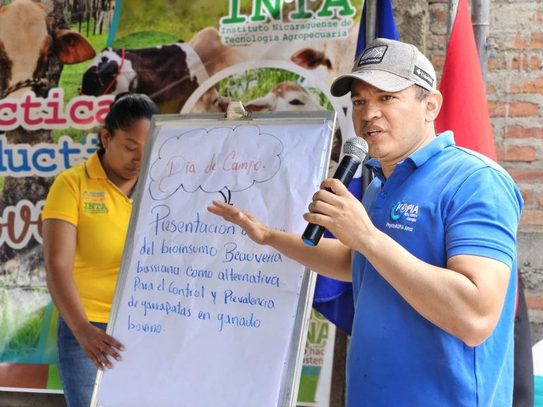 Control de parásitos externos en ganado bovino haciendo uso de insumos biológicos