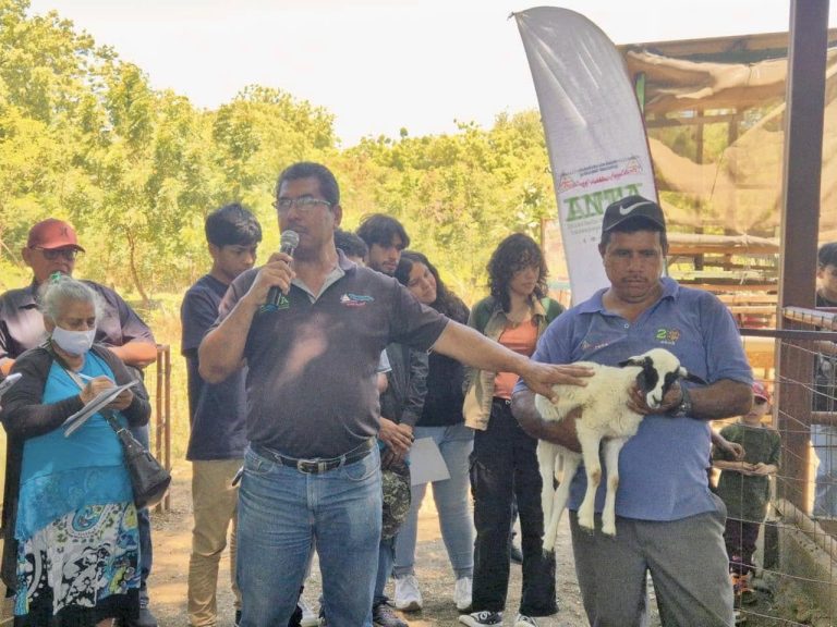 Presentación de técnicas para el manejo productivo y reproductivo de ovinos y caprinos