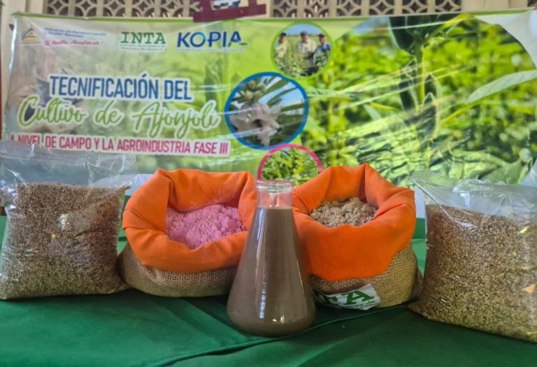 Alternativa de alimentación para ganado bovino haciendo uso de semilla de ajonjolí y sal mineral