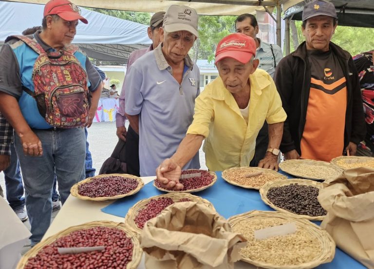 Encuentro Nacional de Productores Semilleristas en Centro Nacional Augusto C. Sandino de Managua