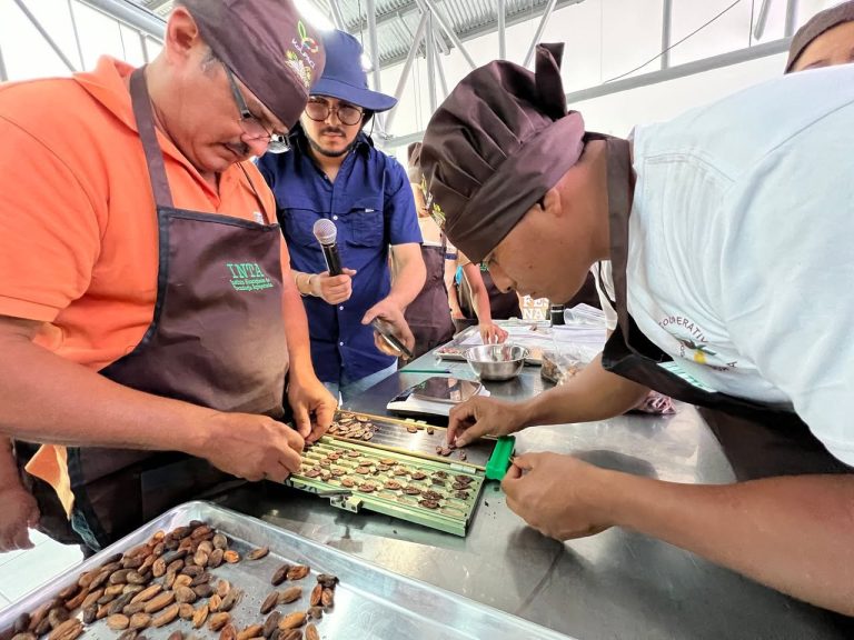Técnicas para evaluar la calidad del cacao fino y de aroma