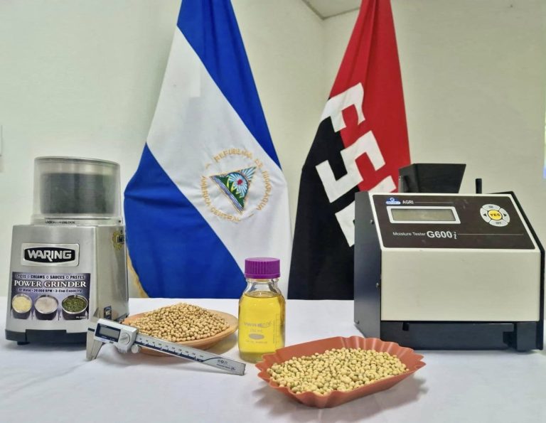 Técnicas de transformación y agregación de valor del cultivo de soya