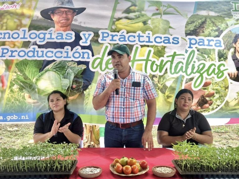 Resultados de fertilización orgánica para mejorar el desarrollo de plántulas de tomate y chiltoma