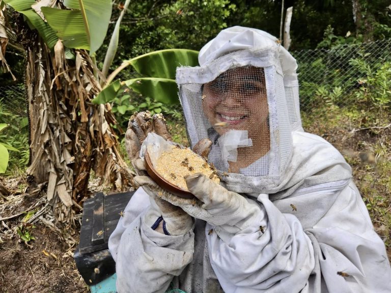 Técnicas de alimentación artificial para colmenas en condiciones de invierno