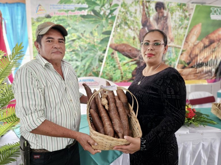 Congreso sobre producción y agregación de valor de yuca en Nueva Guinea