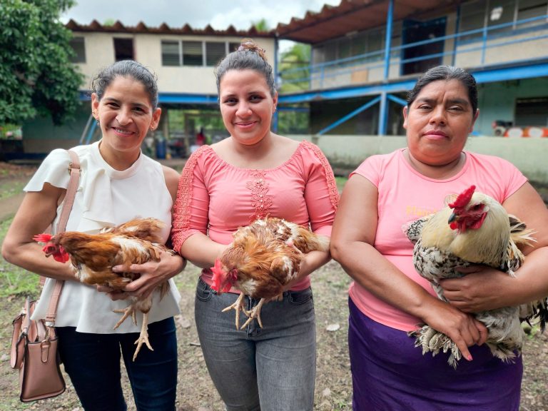 Curso Especializado sobre Manejo Sanitario de Gallinas Ponedoras