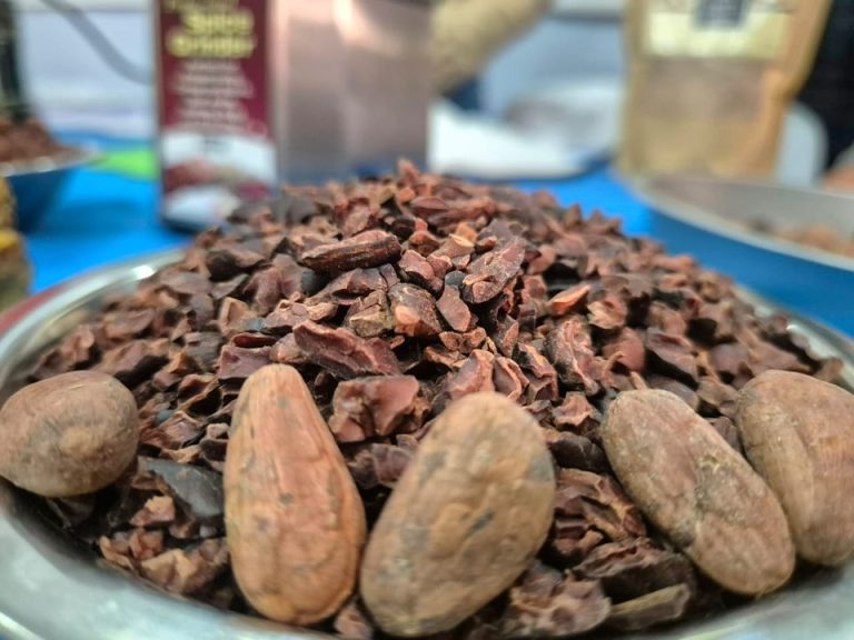 Lanzamiento del Programa Nacional “#Nicaragua es Cacao”