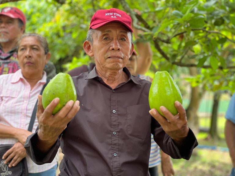 Encuentro regional con productores de aguacate y otras especies frutales