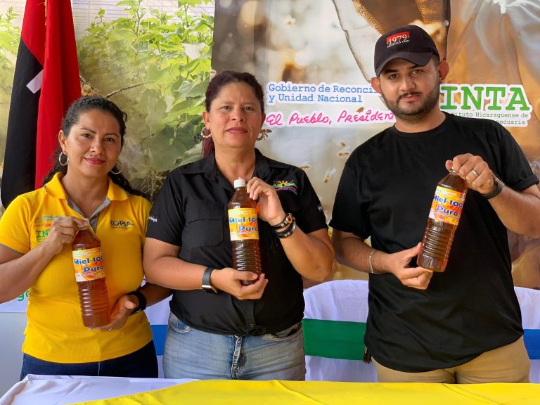 Curso sobre Manejo Tecnificado de Apiarios para la Producción de Miel de Abeja