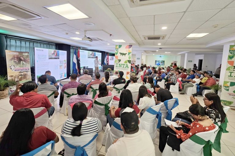 INTA desarrolla foro de ganadería regenerativa en Managua