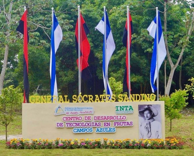 Tecnologías para el manejo y producción de frutales