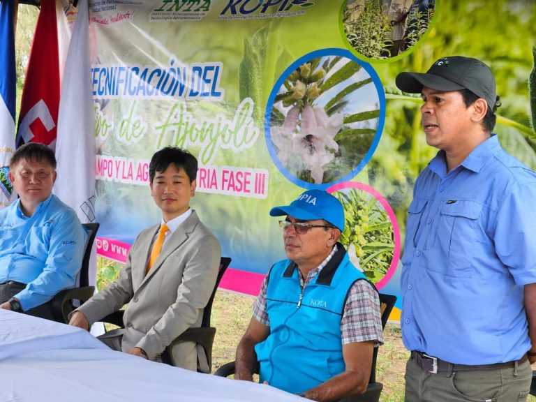 Avances en la generación de variedades de ajonjolí con alto potencial productivo
