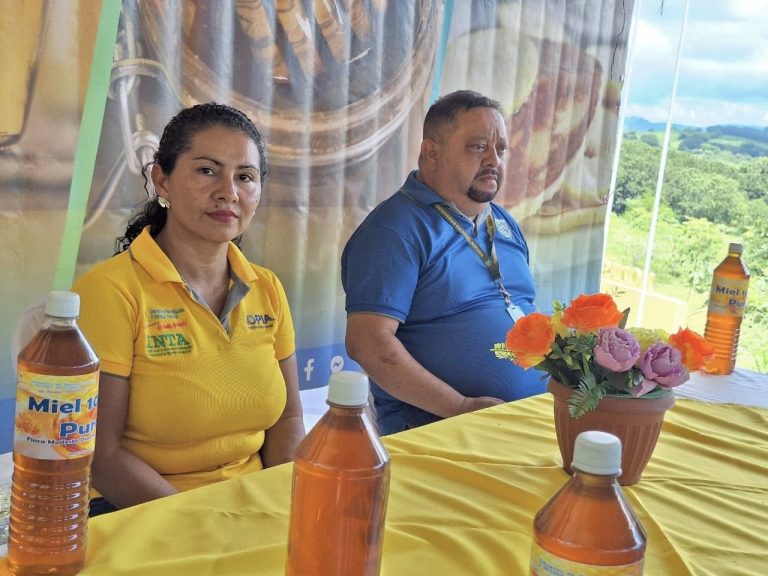 Técnicas para mejorar la miel en época de invierno