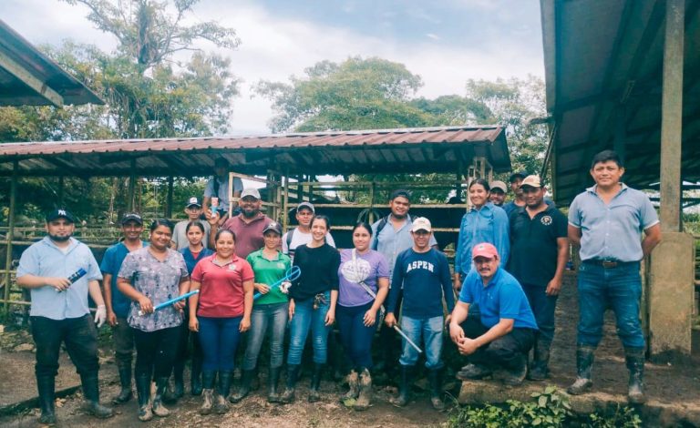 Curso Especializado sobre inseminación artificial a tiempo fijo en bovinos