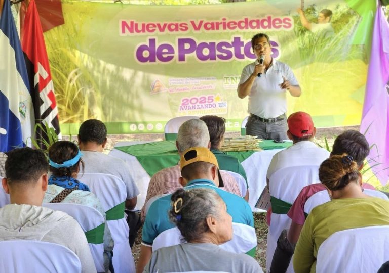 Presentación de técnicas de manejo y producción intensiva de pastos de corte