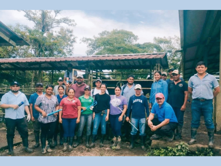 Curso Especializado sobre inseminación artificial a tiempo fijo en bovinos