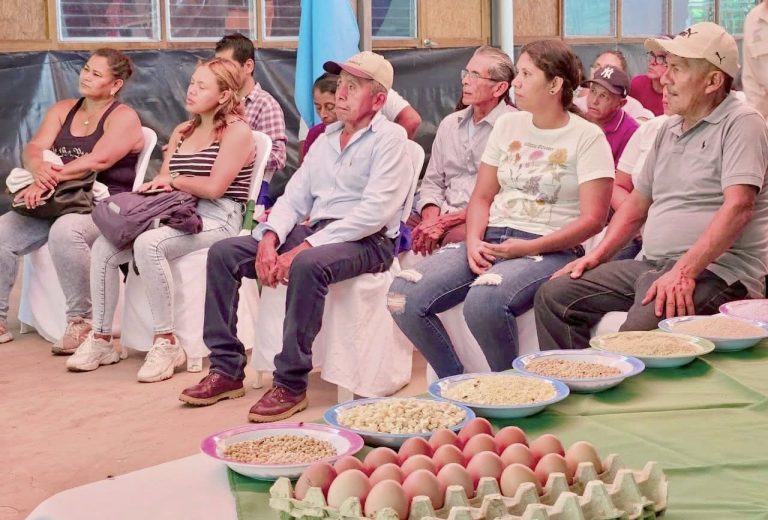 Técnicas para mejorar la salud y aumento de peso de las gallinas de granjas