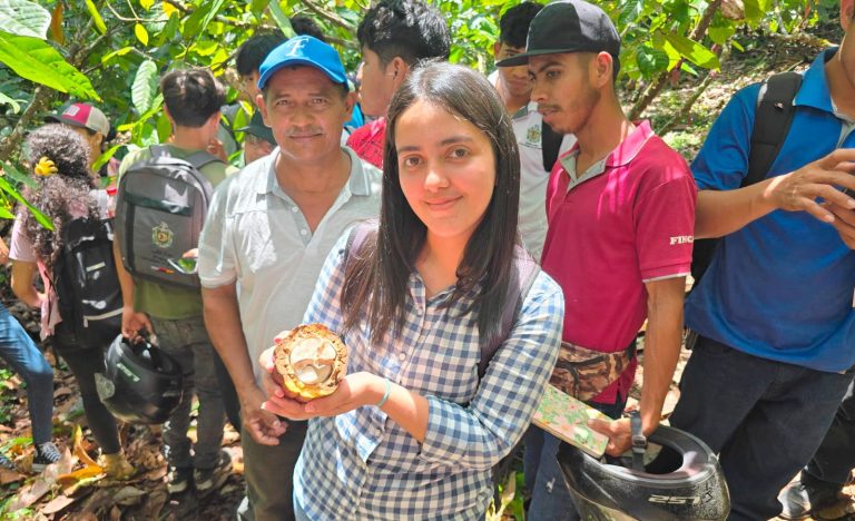 Control de enfermedades en variedades criollas como clonadas en el cultivo de cacao