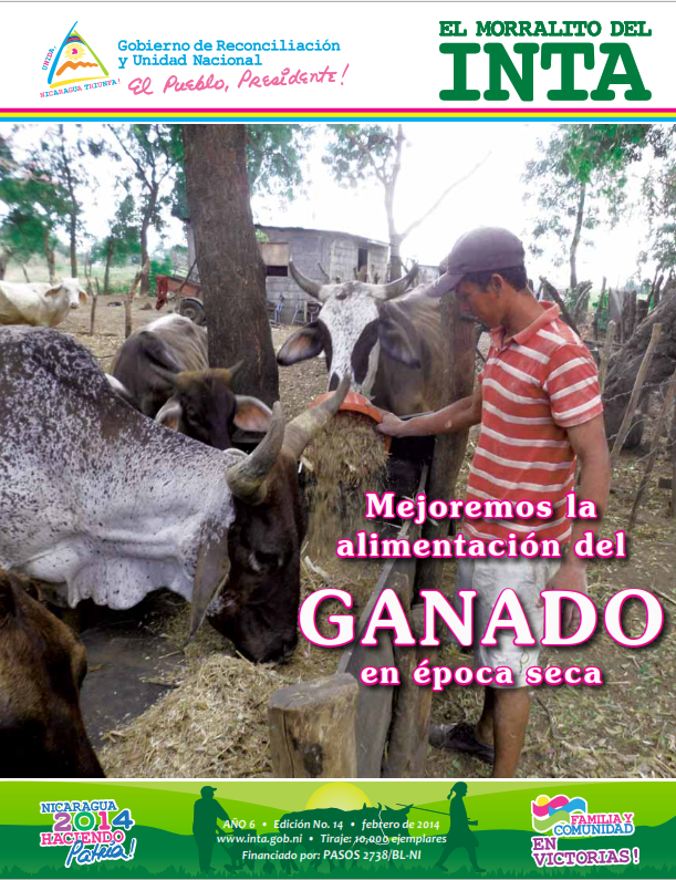 No hay una imagen disponible