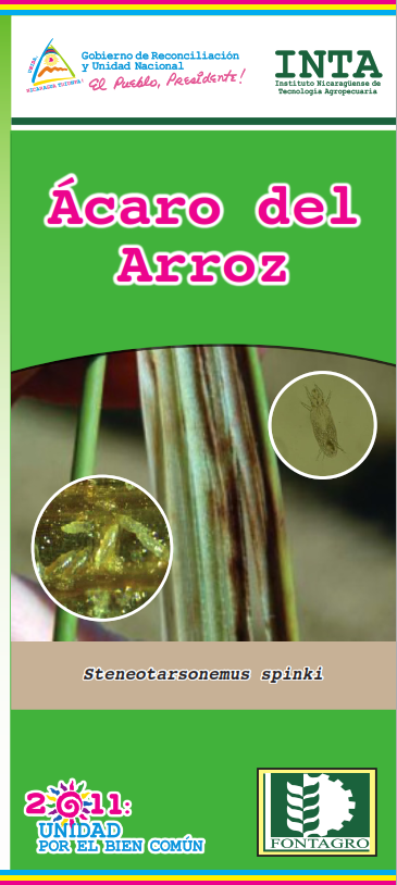 No hay una imagen disponible