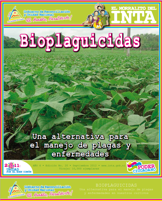 No hay una imagen disponible