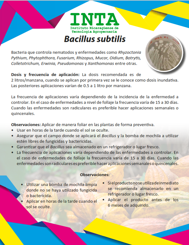 No hay una imagen disponible