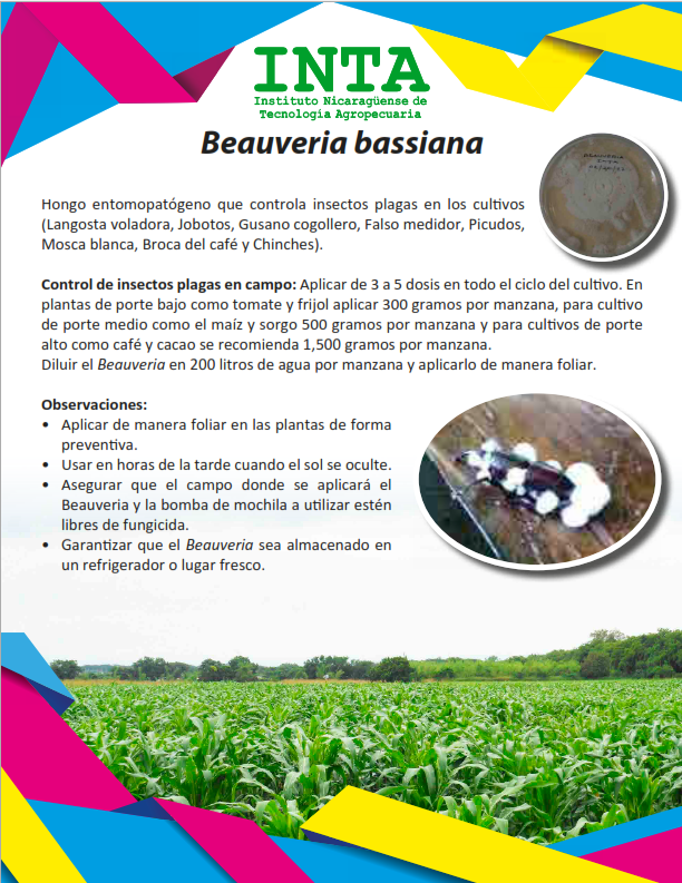 No hay una imagen disponible