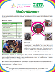 Biofertilizantes en café