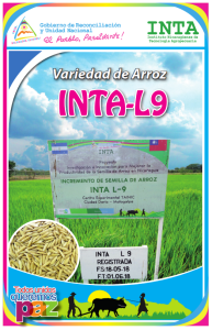 Arroz INTA-L9