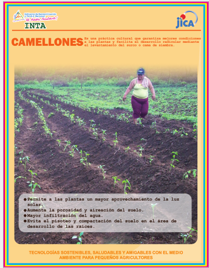 No hay una imagen disponible