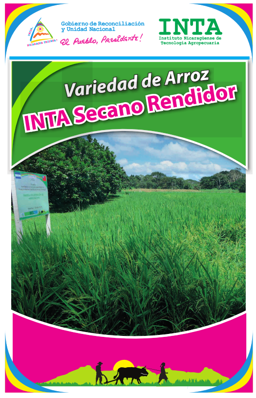 No hay una imagen disponible