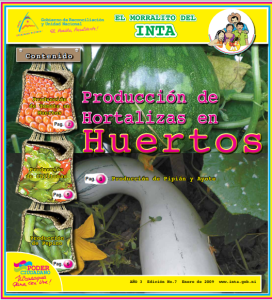 Hortalizas en Huertos