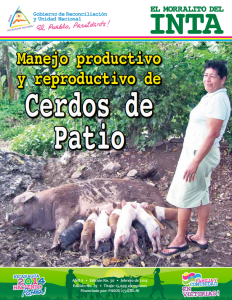 Manejo de Cerdos de Patio