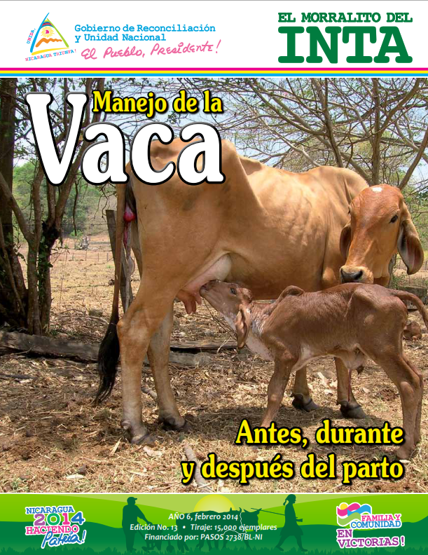 No hay una imagen disponible