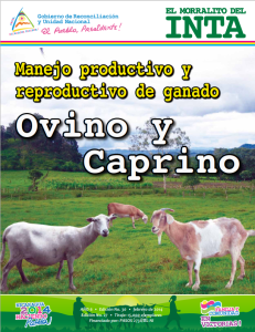 Manejo de ovinos y caprinos