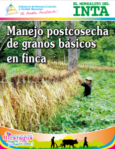 Postcosecha de Granos Básicos